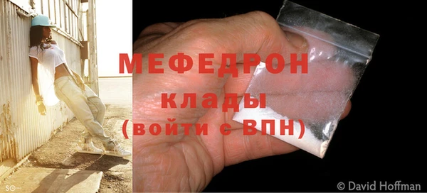 сатива Ростов