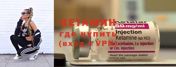 сатива Ростов