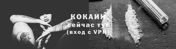 сатива Ростов