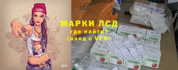 сатива Ростов