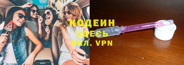сатива Ростов