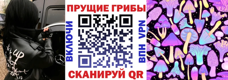 Купить  Светогорск  Псилоцибиновые грибы ЛСД 